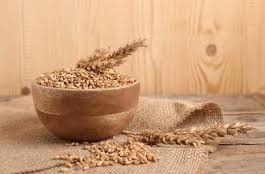 Wheat Meal