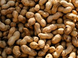 Groundnuts