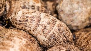 Yam