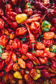 Bell Peppers