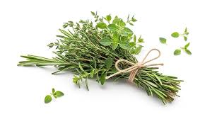 Thyme